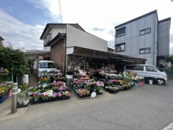 花よし