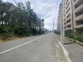 西側前面道路