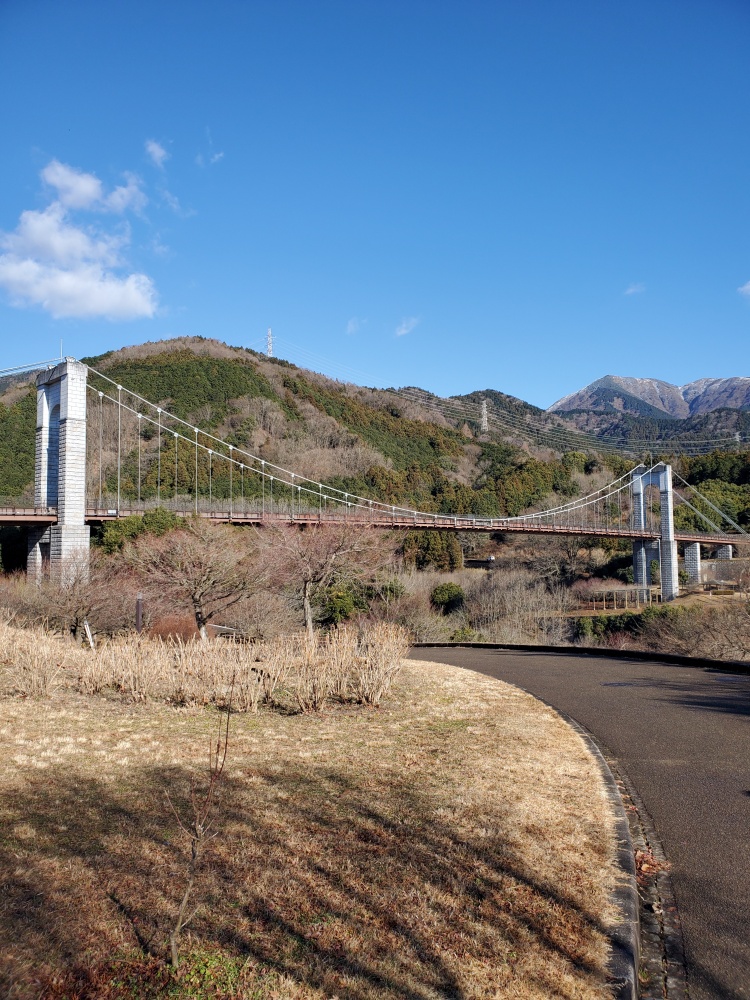 戸川公園の風の吊り橋です。とても眺めがよくリフレッシュできますよ！